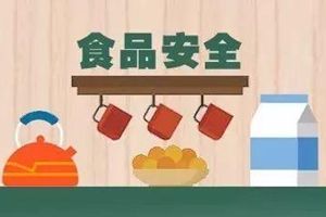 國務(wù)院食品安全辦有關(guān)負責人就2019年食品安全重點工作安排答記者問